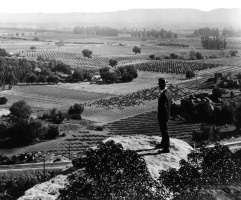 Iverson Movie Ranch 1920